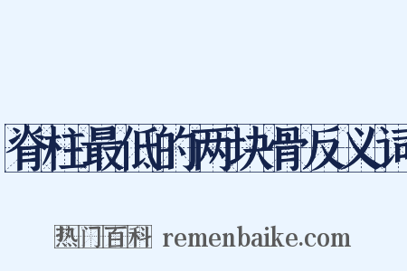 脊柱最低的两块骨反义词是什么意思的图片